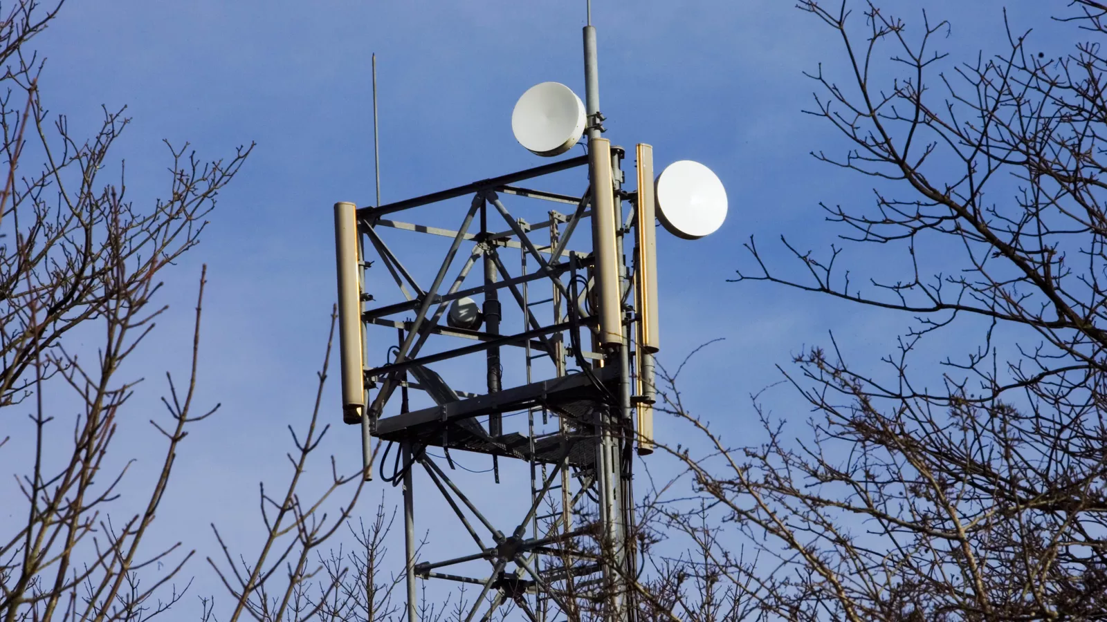 Image for The government is spying on cell phones [telecom] 