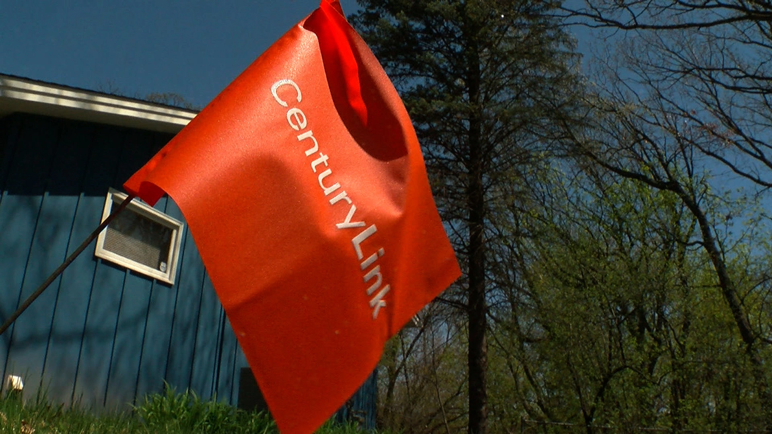 Image for Homeowners Experience Delays With CenturyLink Marking Yards For Digging Projects [telecom] 