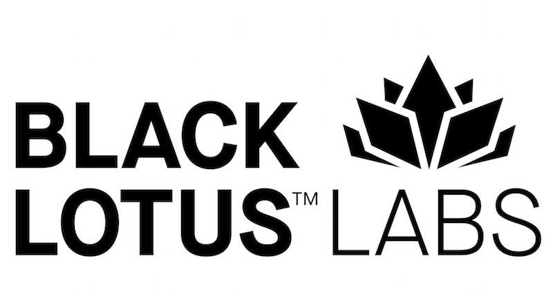 Image for CenturyLink rebrands cybersecurity operations as Black Lotus Labs 
