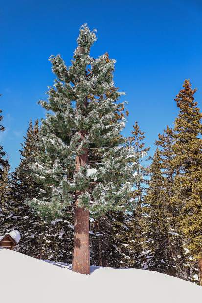 Image for Equipment trouble hampers AT&T cell service in Vail, other valley areas [telecom] 
