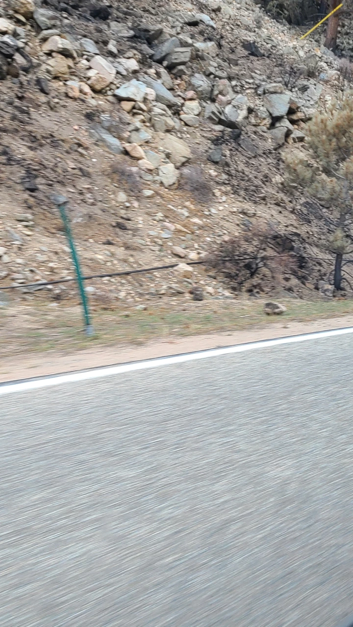Image for Colorado: Residents in Cameron Peak Fire area still dealing with downed lines, no service [telecom] 