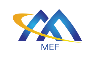 Image for What does "MEF compliance" mean?