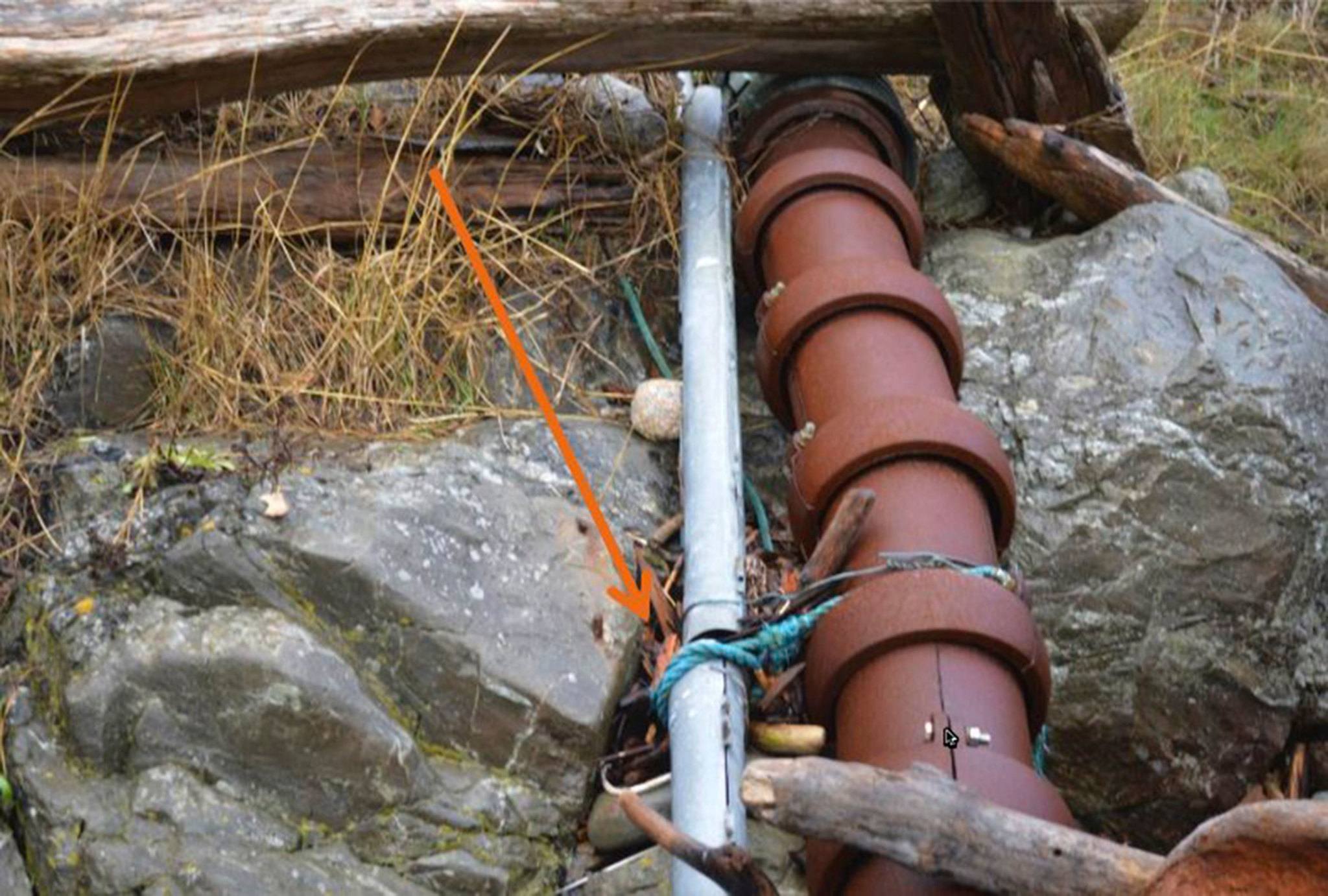 Image for OPALCO raises concerns over CenturyLink cable break [telecom] 