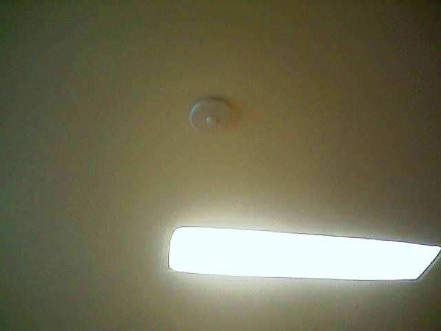 Image for What is it ???