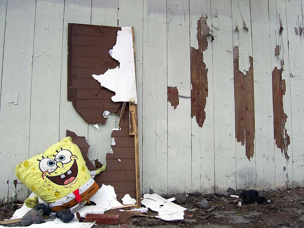 Image for Peeled Up door- anybody got a picture