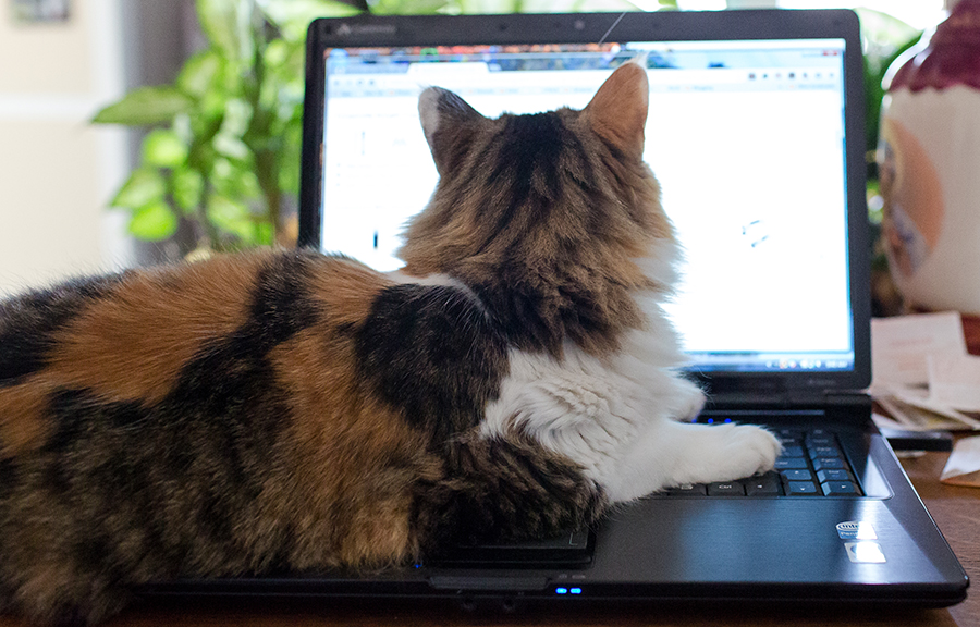 Image for AT&T and Verizon: Data Caps On Home Internet Service Are Great For Everyone (Especially Us) [telecom] 