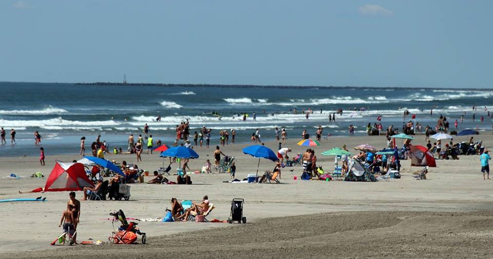 Image for Wildwood whale-watching business sues Verizon over lost phone number [telecom] 