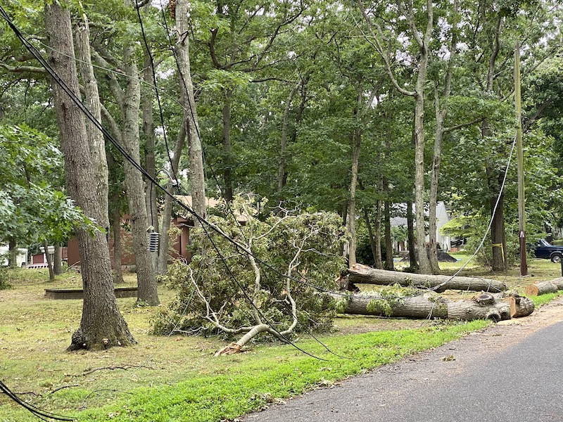 Image for With almost 100,000 customers still without power, PSEG says 'nearly  all' will be restored by Sunday evening [telecom] 