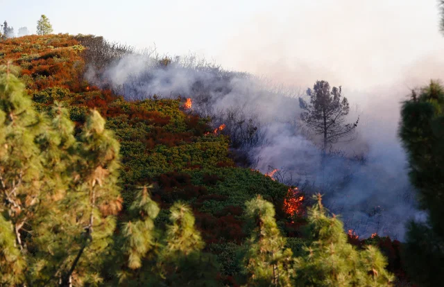Image for Fire nearby - Best freeware Police/Fire Scanner (which do YOU use?) 