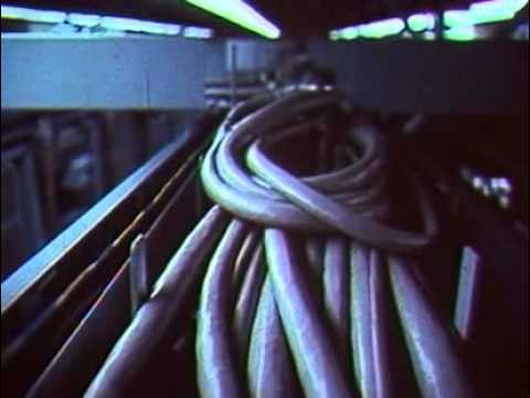 Image for From the AT&T Archives "The Hello Machine," 1974 