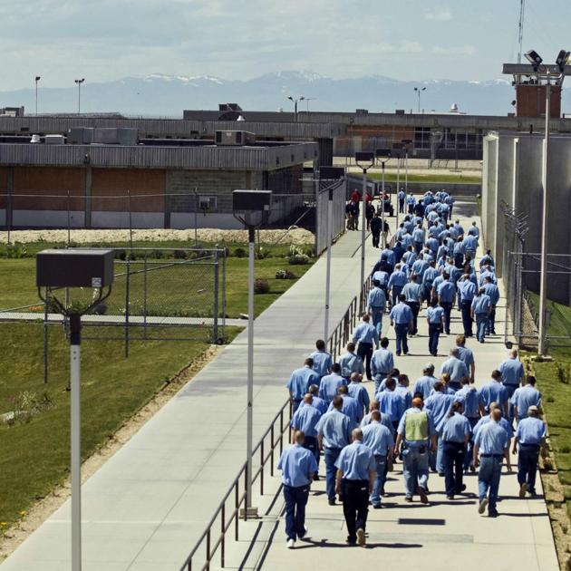 Image for Idaho Department of Corrections rolls out video calls after suspending in-person visits due to COVID-19 [telecom] 