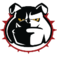 Image for ICND