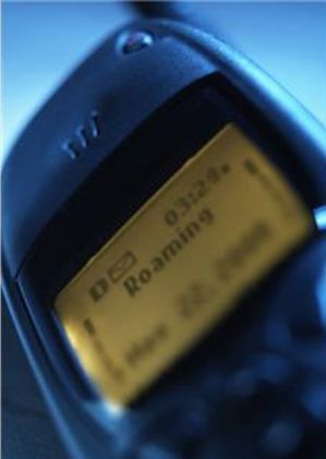 Image for Reasonableness and Roaming Charges: In Search of More Definite Standards [telecom] 