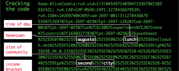 Image for What They Know: The Web's New Gold Mine: Your Secrets [telecom]
