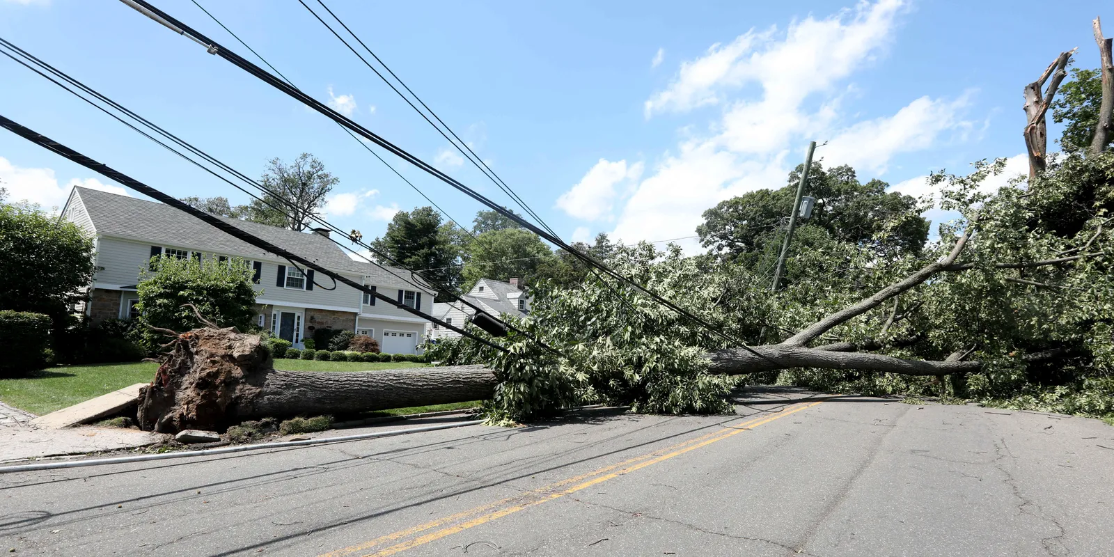 Image for NY: Opinion: After Isaias, we've had it with poor storm outage response from utilities [telecom] 